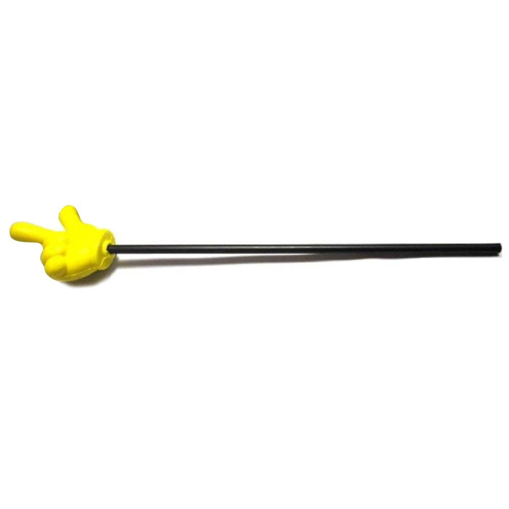 -Pointing stick indication stick nominate gesture stick