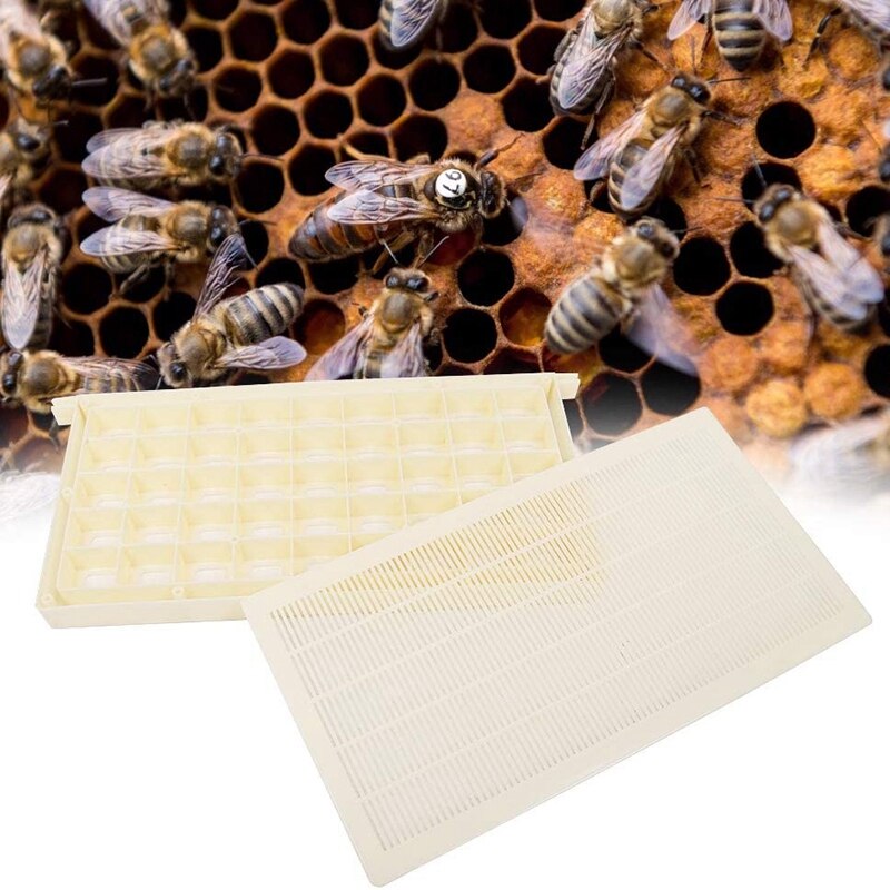 Beekeeping Kits, Breeding Cages, Beehive Kits, Beekeeper Accessories, Equipment, Hive Tools, Beekeeping Kits