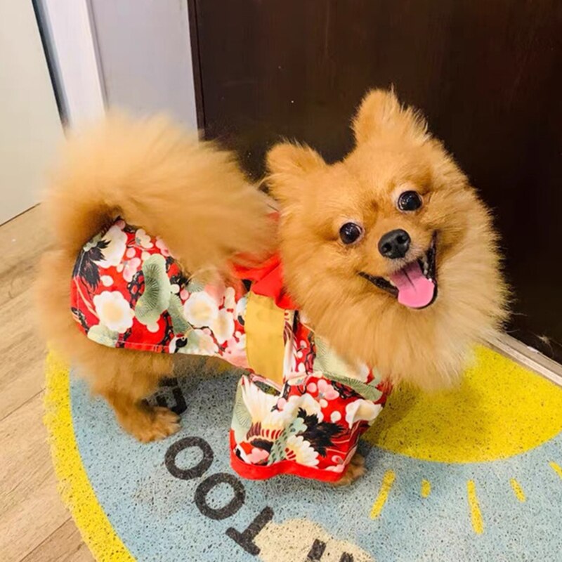 Festival formel chien de compagnie Costume National pour petits chiens moyens Style japonais chiot chat vêtements bouledogue français Shiba Inu Kimono