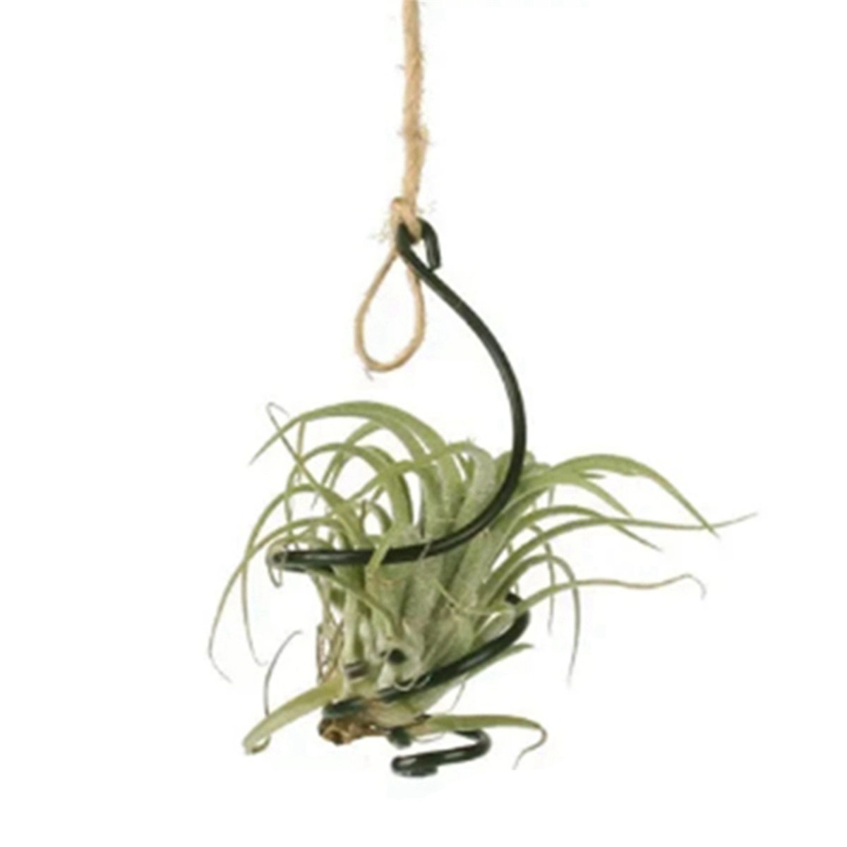 Luchthaak Hangende Bloemenstandaard Potten Display Hanger Houder Ijzer