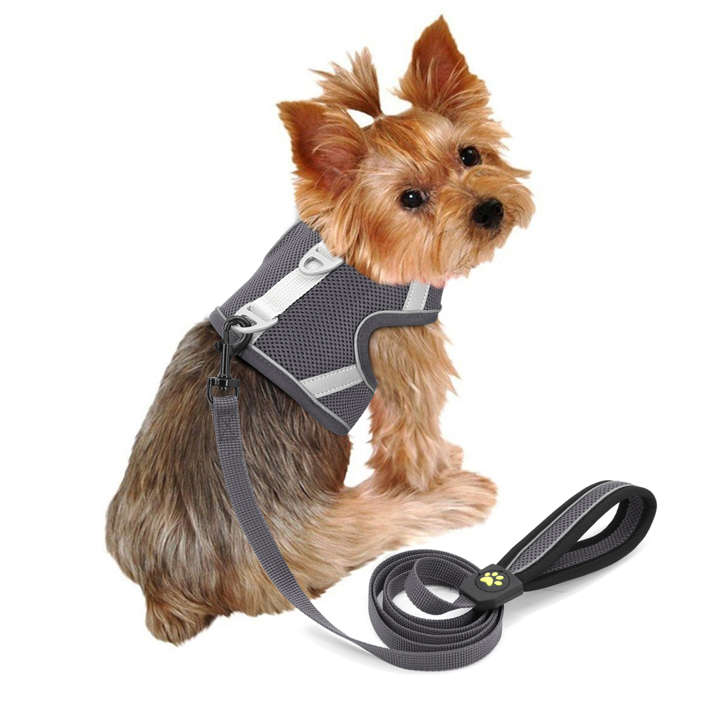 Mesh Cat Harness Reflective Dogs Cat Puppy Harnesses Leash Breathable Samll Dogs Harness Vest for Chihuahua Yorkshire Walking