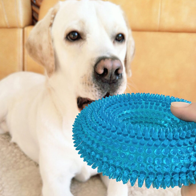 Squeak Chew Pet Toys for Large Dogs Golden Retriever Training Funny Circular Ring of Hawthorn Interactive Toys Dog Toothbrush