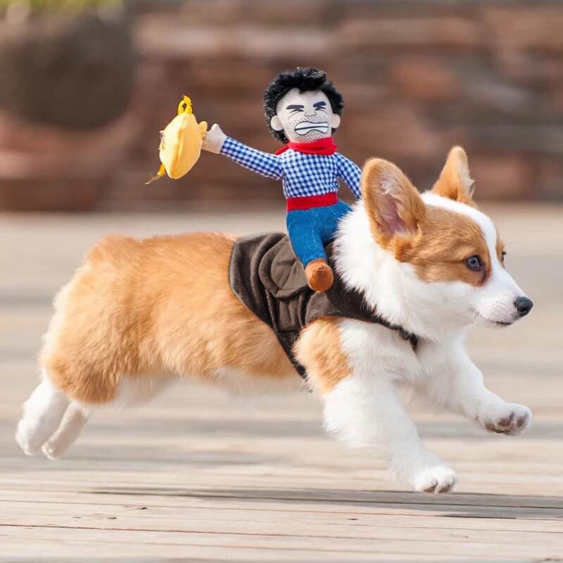 Kæledyr kat cowboy hund kostume hunde tøj ridder stil med hat fest cosplay kæledyr dekoration tøj dyr tøj для котов #py: M