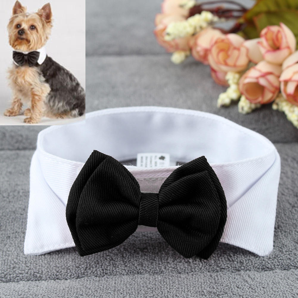 1PC Pet Puppy Honden Verstelbare Vlinderdas Kraag Stropdas Strik Bowtie Bruiloft Decoratie Accessoires Nieuw