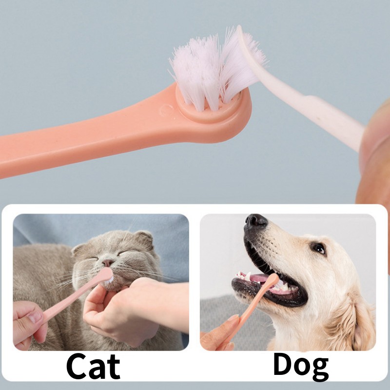 Escova de dentes para cães, cabeça pequena, escova de dentes para animais de estimação, 2 peças, conjunto de limpeza de dentes para cães, cuidados bucais, filhote de cachorro, cabo longo, escova de dentes para gatos
