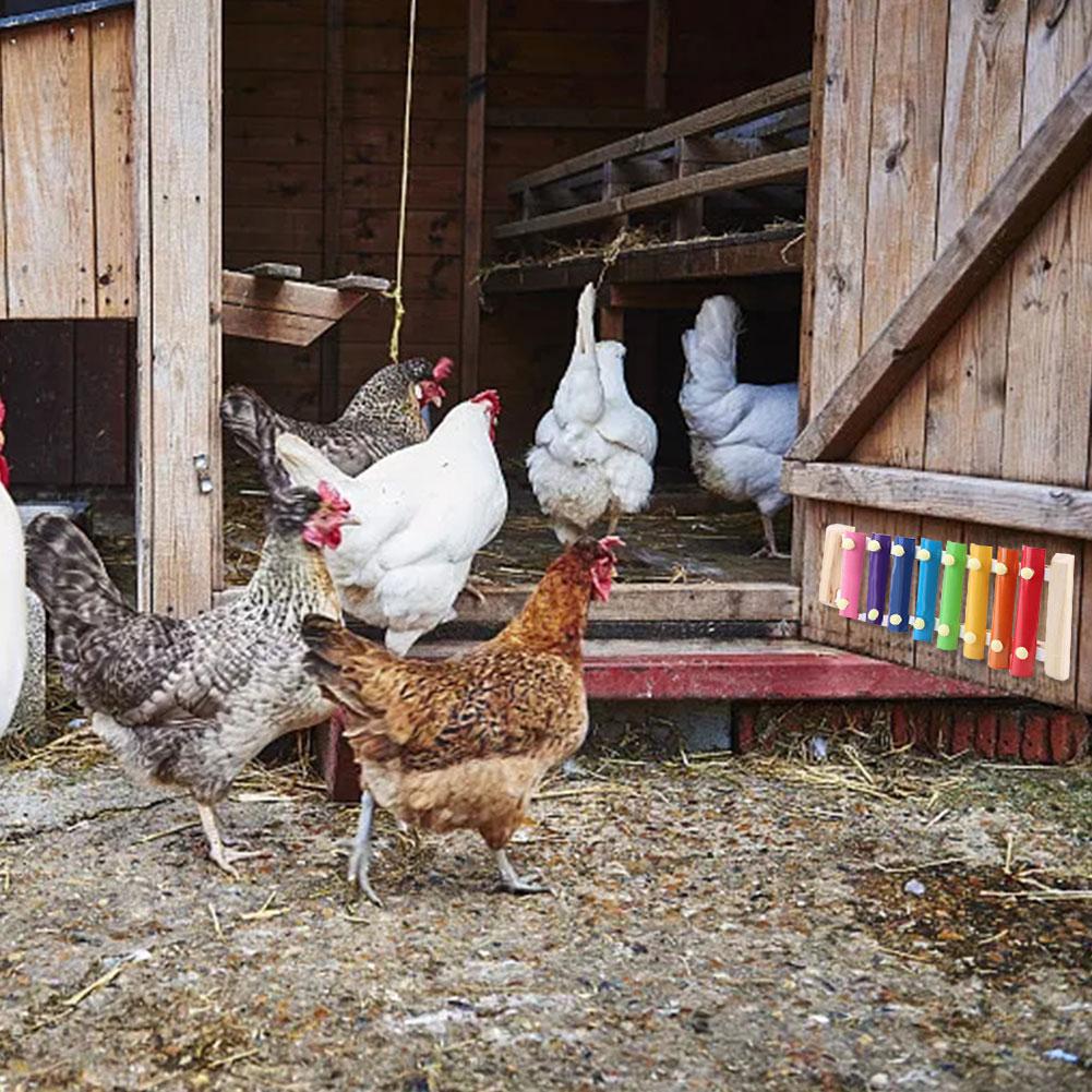 Kip Xylofoon Speelgoed 8 Toetsen Kip Pikken Speelgoed Geschikt Voor Kip Kip Coop Papegaaien