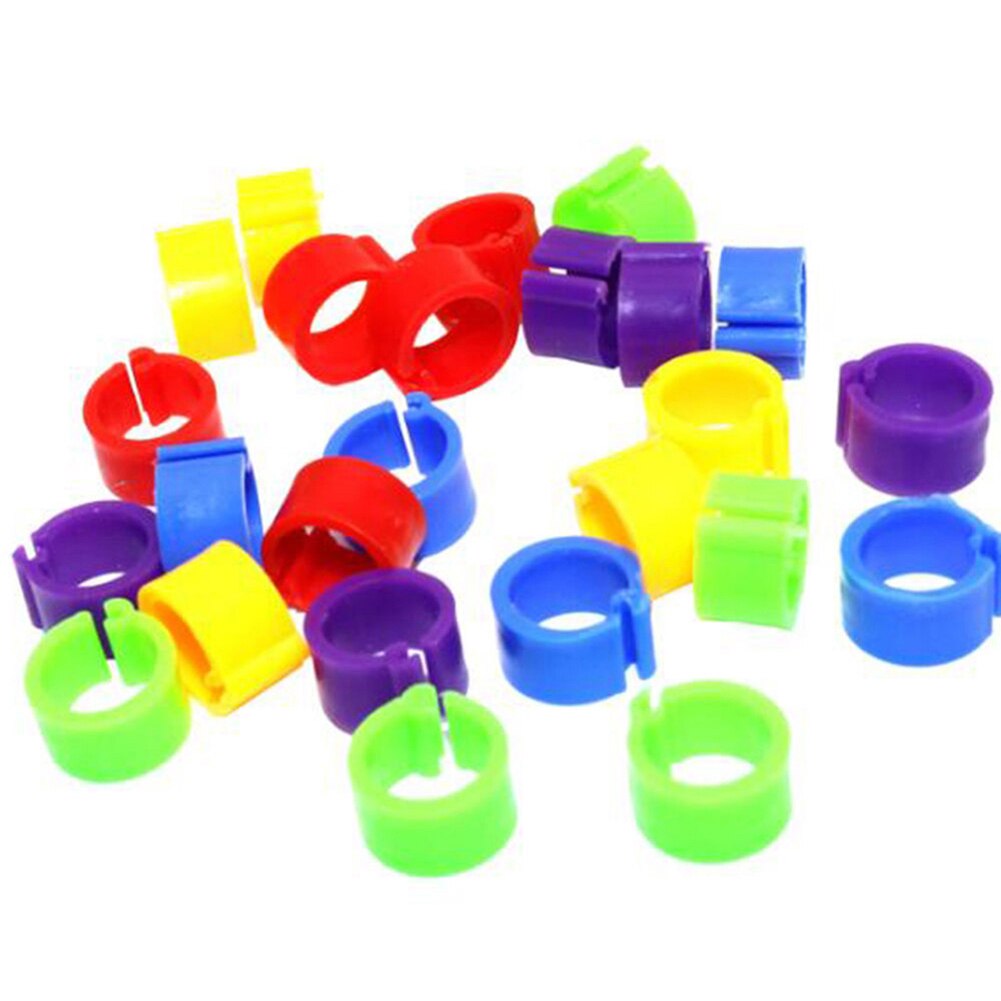 100Pcs Plastic Birds Poultry Duck Pigeons Dove Parrot Leg Foot Bands Clip Rings
