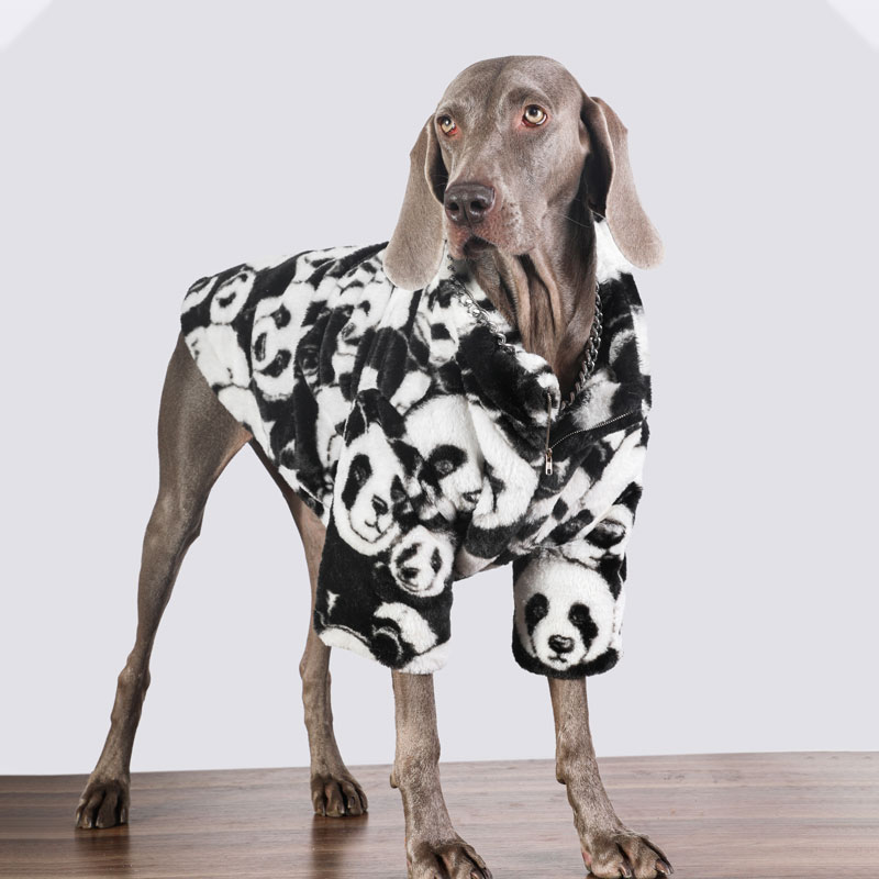 Grote Hond Kleding Winter Gewatteerde Hond Jas Warme Hond Jas Golden Retriever Labrador Doberman Hond Kleding Hond Accessoires