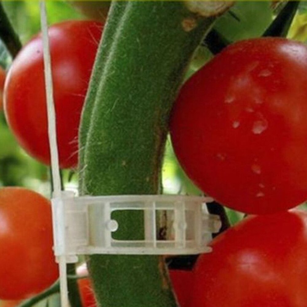 50pcs Plastic Plant Support Clip Fastener Plants Hanging Vines Vegetable Tomato Farming Plant Clip Greenhouse Gardening Tools