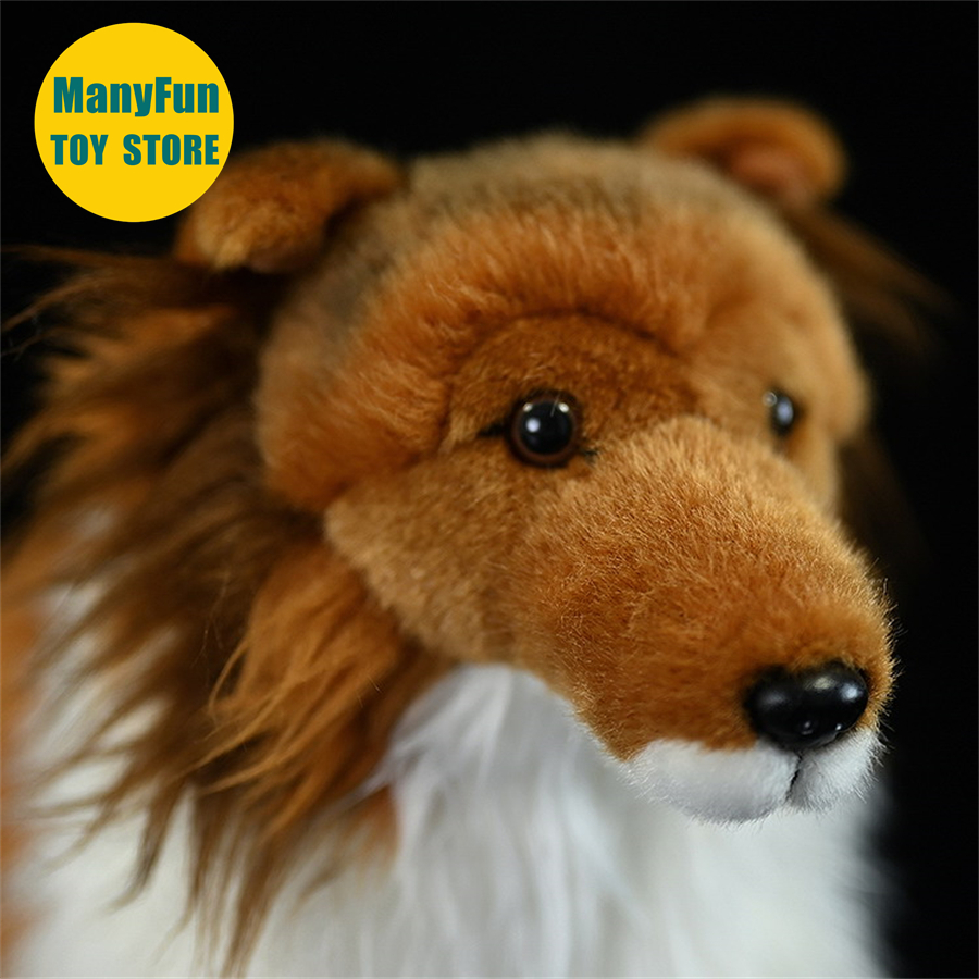 Sheltie hund plyschleksak högkvalitativ grov collie plysch shetland sheepdog leksak naturtrogna gosedjur simuleringsdocka leksaker