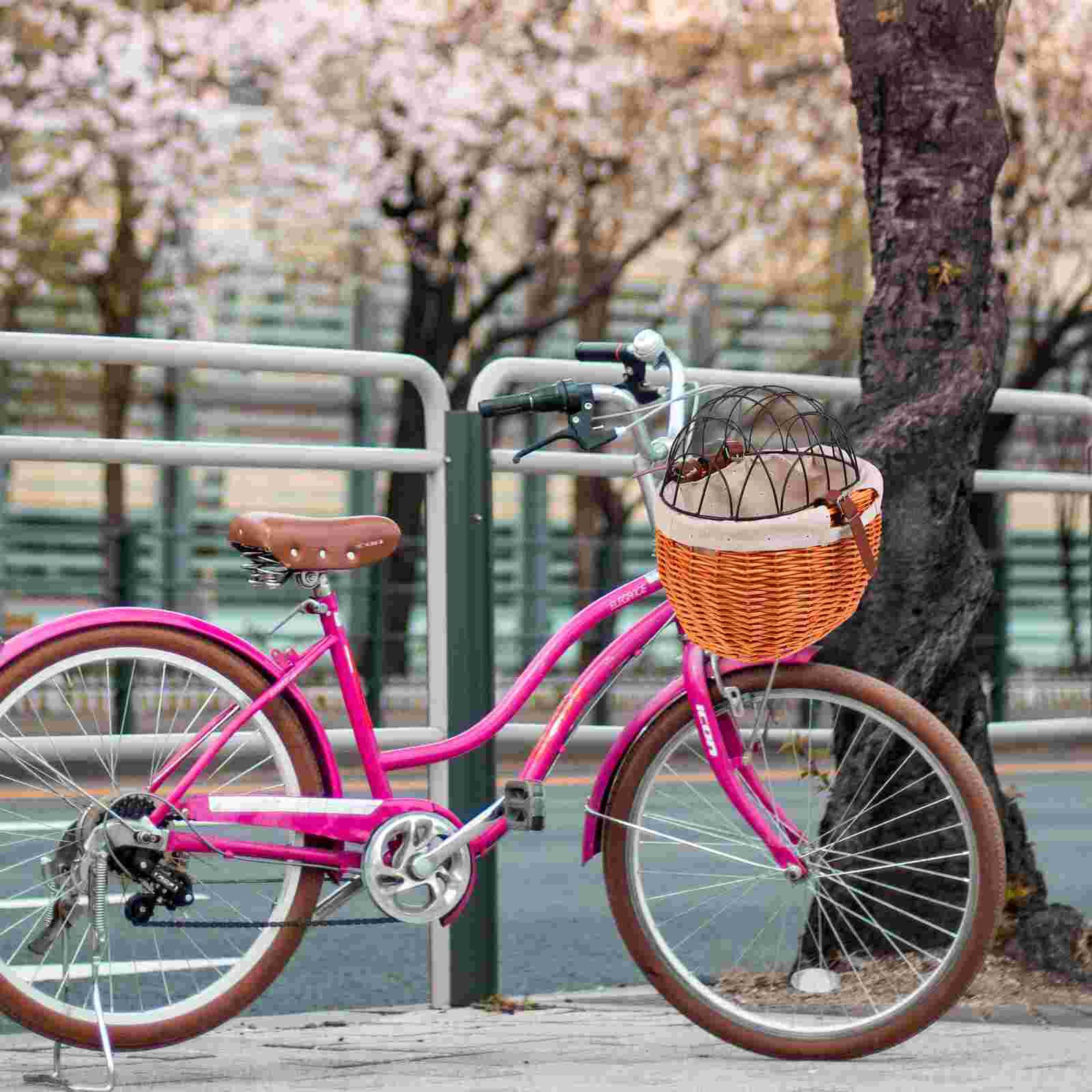 1PC Pet Cat Dog Bike Basket Wicker Woven Bike Shopping Basket for Books Bike Toys Pet