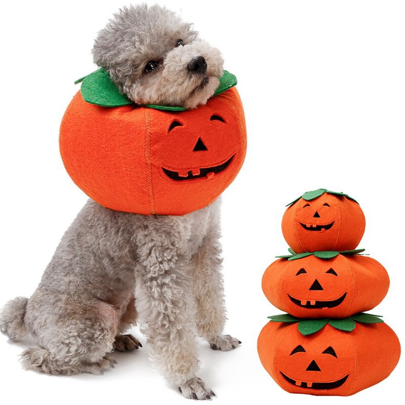 2020collares para mascotas, calabaza de Halloween para gatos, perros pequeños, bonitos accesorios para mascotas, Cute Neckband para gato, cachorro, vestido