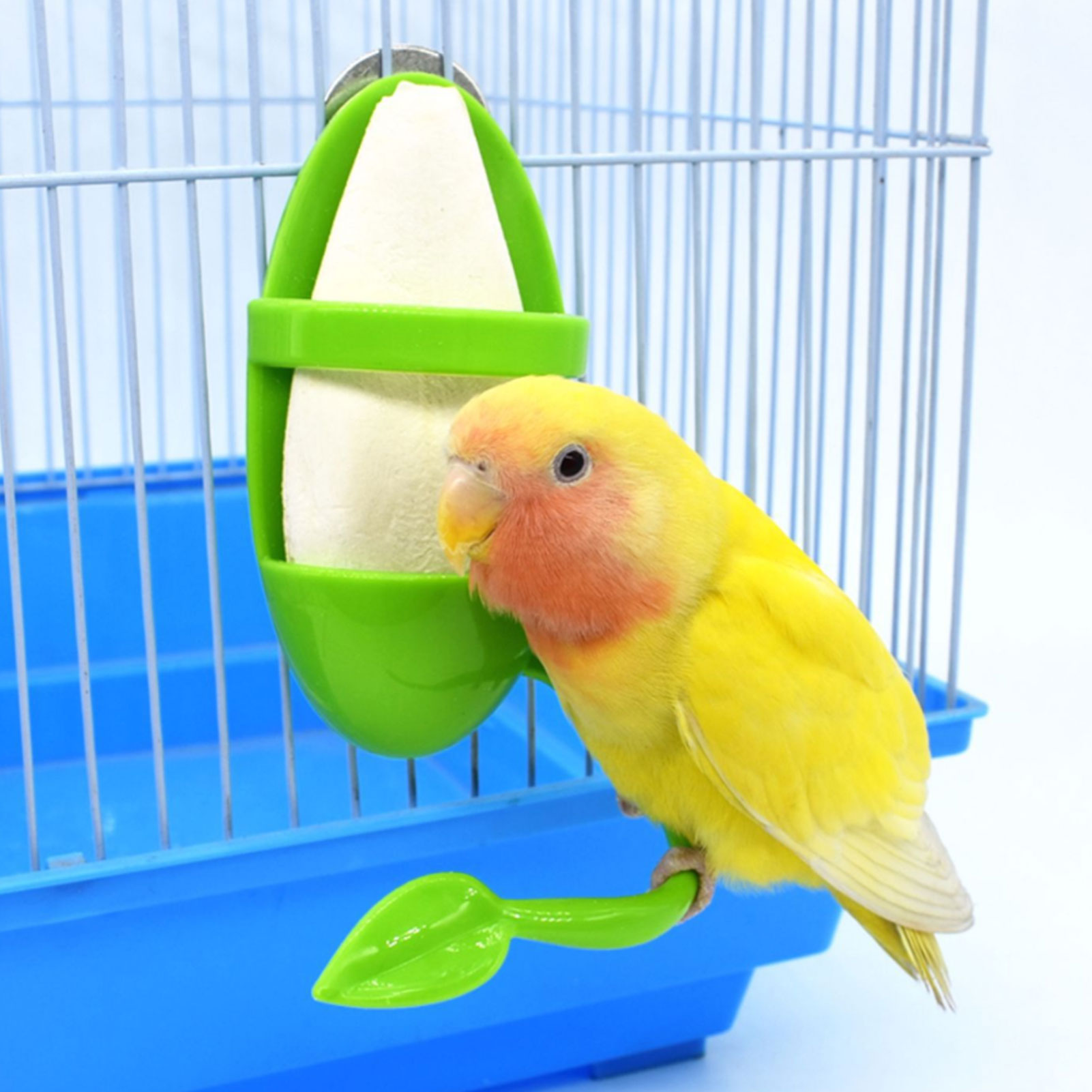 Alimentador de loro con soporte de pie para frutas y verduras, contenedor colgante de plástico, jaula, accesorios, suministros para aves y mascotas,