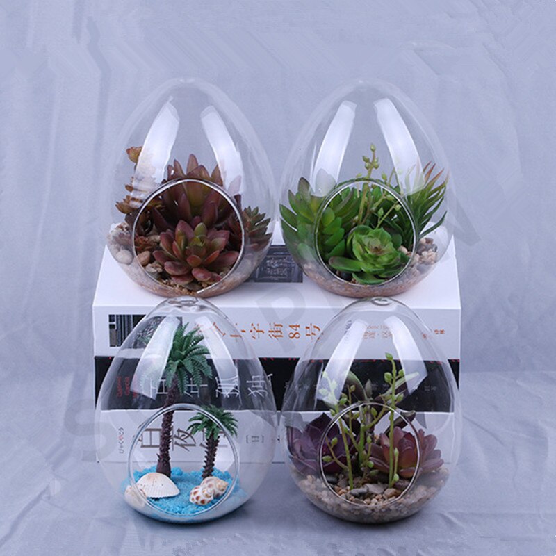 12pcs/pack 8*10cm Small Size Egg Shaped Glass Terrarium Vase Diameter=8cm Height=10cm Microscape Hydroponic Plant Decoration