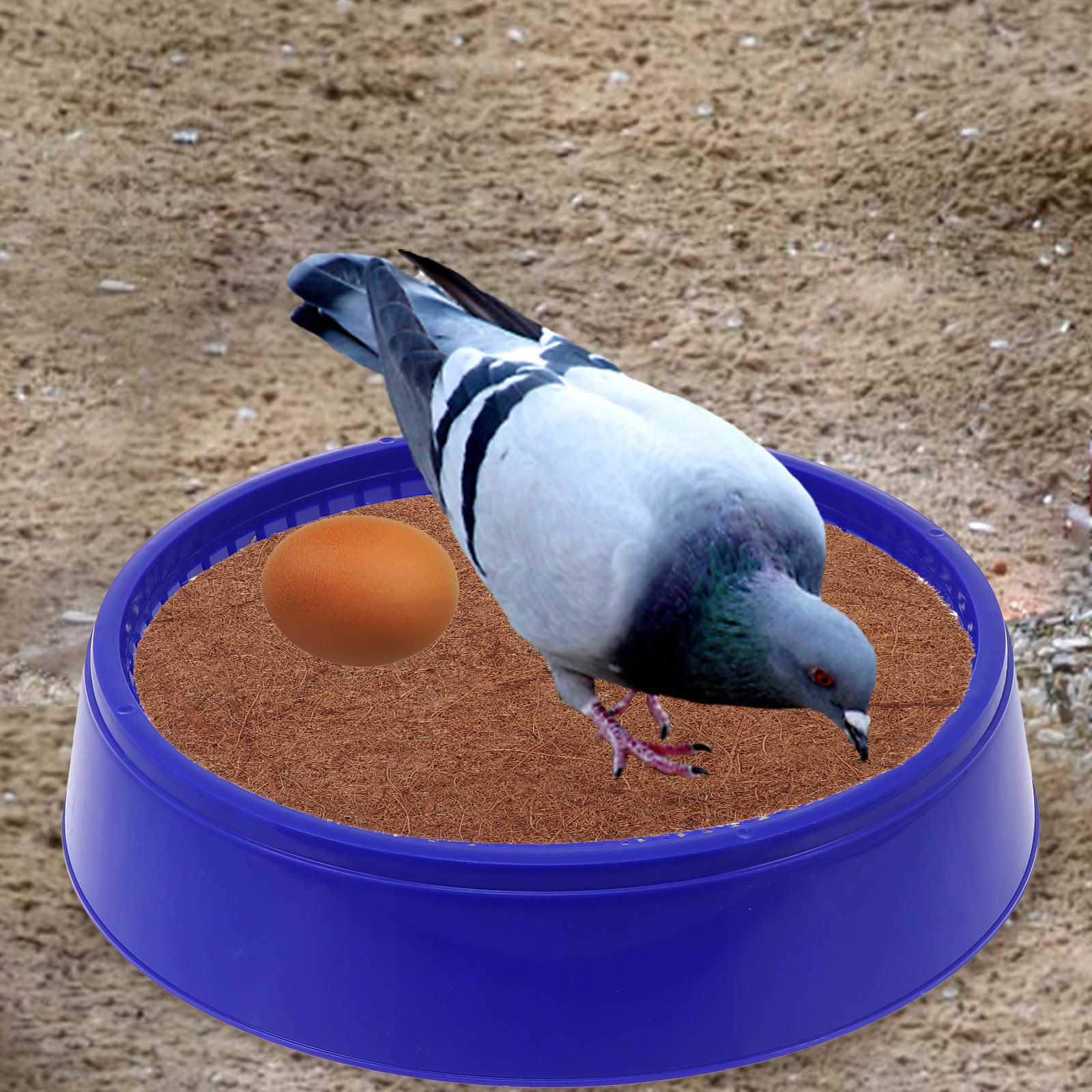 3Pcs Pigeon Nests Homing Pigeon Egg Pots Bird Utensils Pigeon Raising Supplies