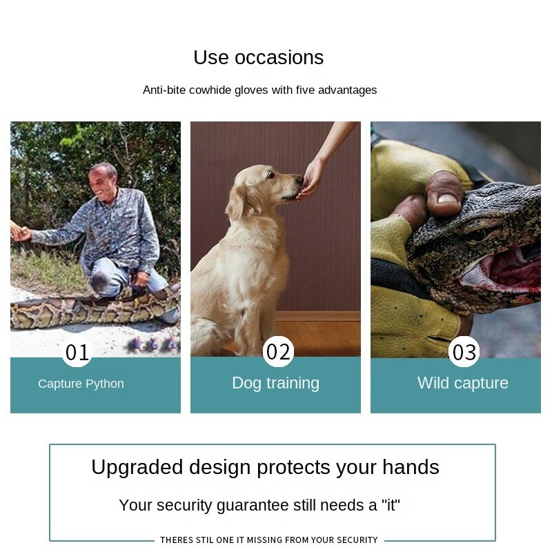Gants anti-morsure de Reptile 62cm, gants de protection pour animaux de compagnie, moniteur lézard serpent, fournitures de nettoyage pour animaux de compagnie