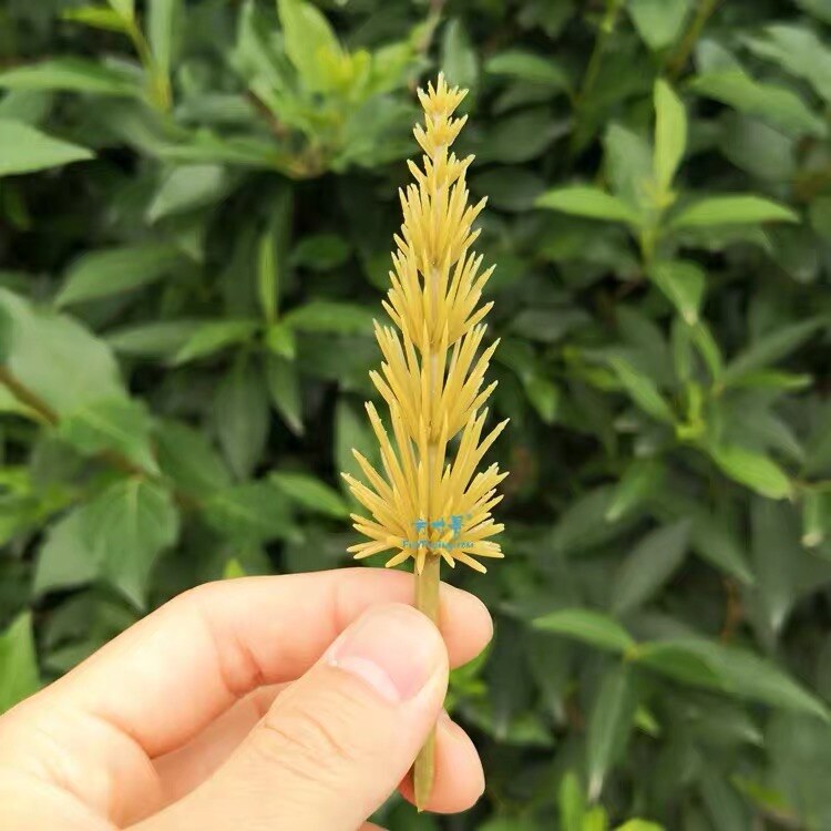 90mm，110mm Model Tree Armatures/Tree Trunk landscape model train railway layout scenery DIY model tree making miniature dioramas