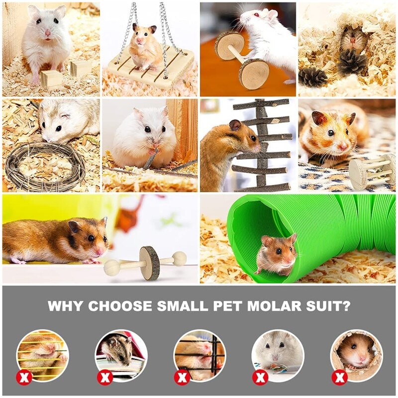 Hamac balançoire en bois, jouets à mâcher en forme de lapin, tubes à brindilles, blocs Wooen pour petits animaux de compagnie, soins dentaires, 12 pièces