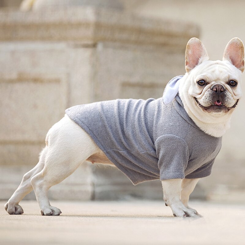 Cute Rabbit Ear Pet Dog Clothes For Small Dogs Coat Winter Dog Hoodie Puppt Cat Clothing For Dogs Costume Pet Outfits Ropa Perro