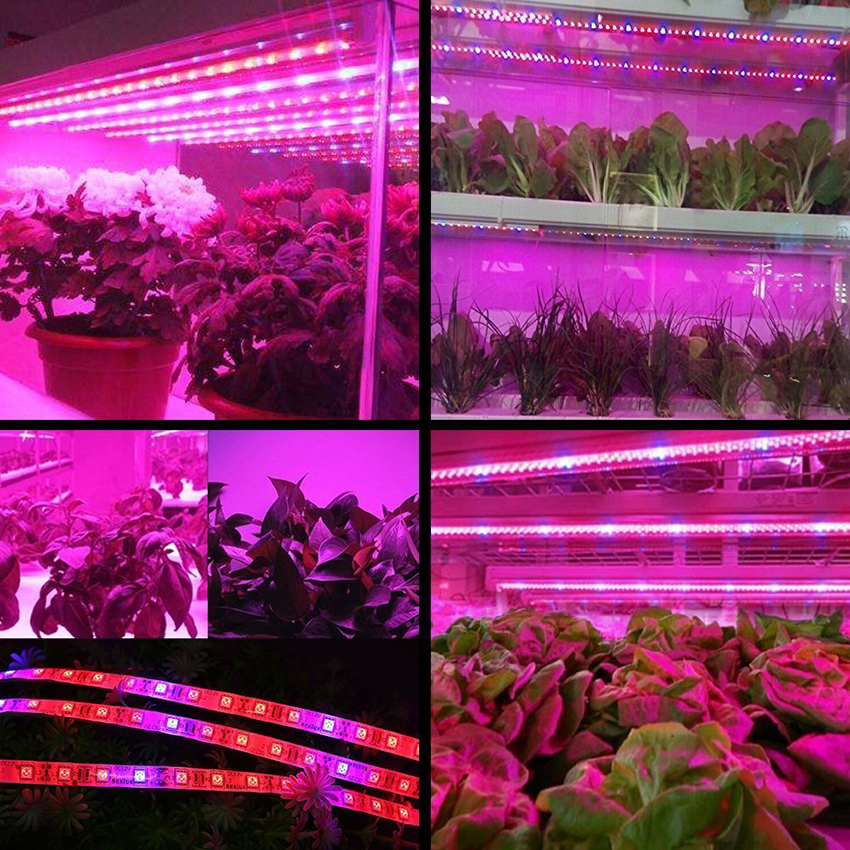 LED Plant Grow Lights 1M 2M 3M 4M 5M SMD 5050 DC12V Flexible LED Grow Strip Light for Greenhouse Hydroponics Plant Vegetable