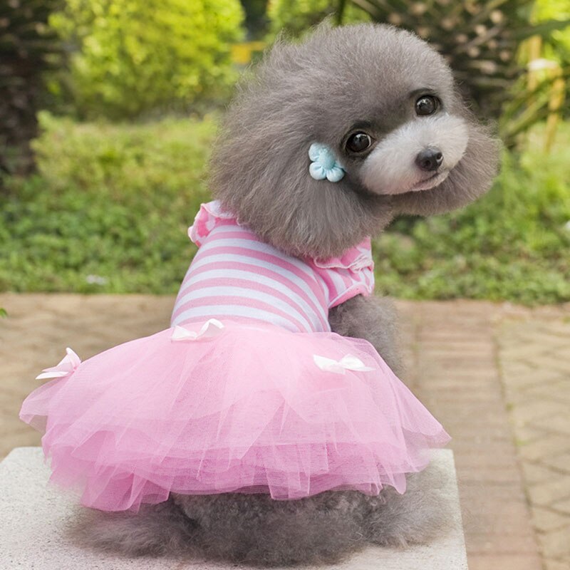 Katze Hund Hochzeit Kleid Sommer Hund Kleidung Felsen Prinzessin Kleider Welpen York Yorkie Pommerschen Pudel Bichon Malteser Hund Kleidung: Rosa / XXL