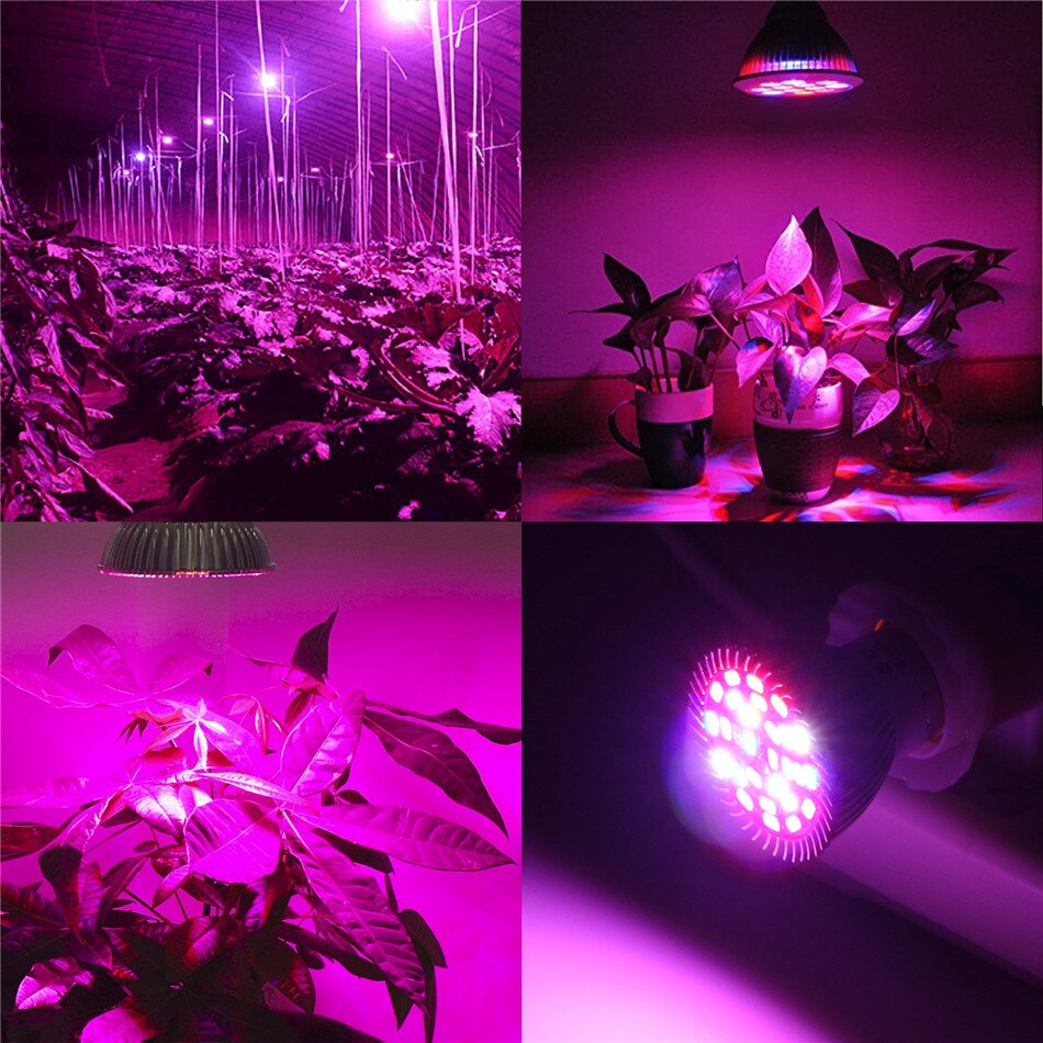 28W LED Plant Growth Light Full Spectrum LED Plant Growth Light Indoor Lighting E27 Hydroponic System Growth Box