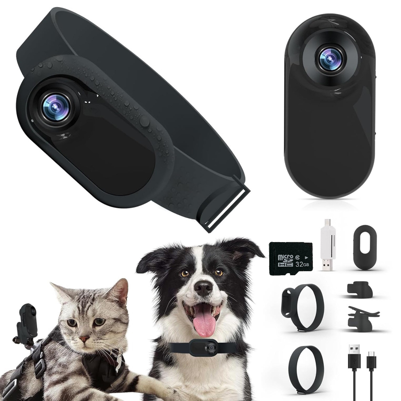 HD 1080P Draadloze Halsband Camera Geen WiFi Nodig Hond Kat Huisdier Camera Kraag Nanny Camera Video Records voor Katten Honden: Wijn Rood
