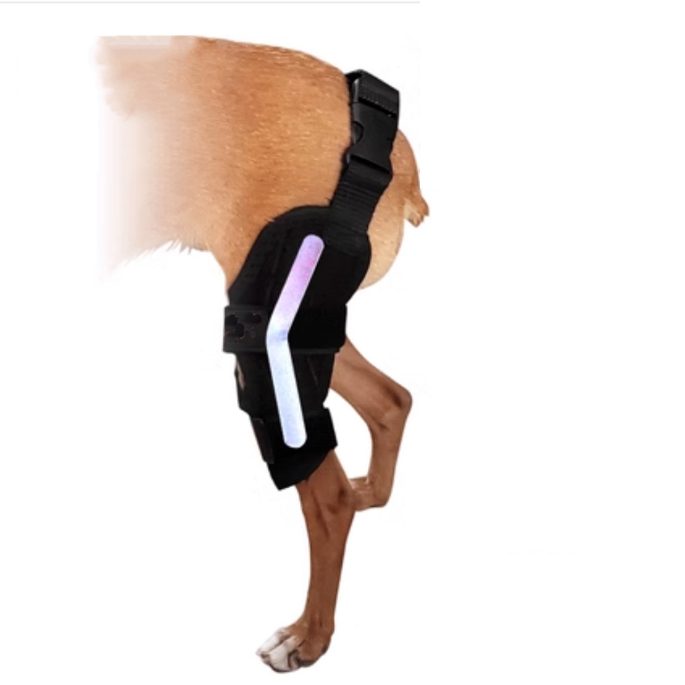 Pet Dog Injury Knee Brace Leg Cruciate Ligament Patella Dislocation Fixation Strap To Protect Stifle Fractures Inflammation Pain: M / green
