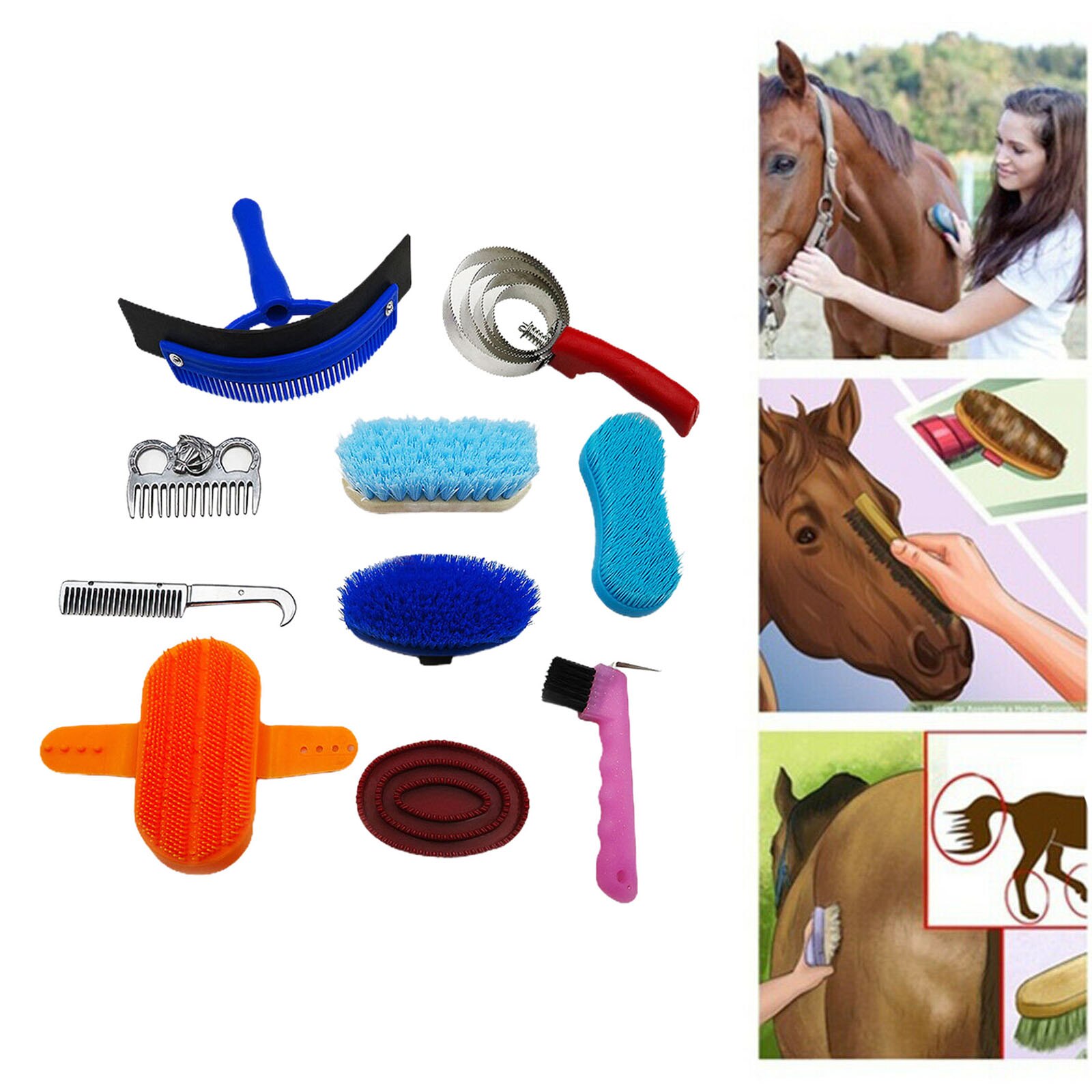 10 pièces cheval brosse ensemble cheval toilettage soins Kit brosses équestres Curry peigne cheval nettoyant avec sac de rangement