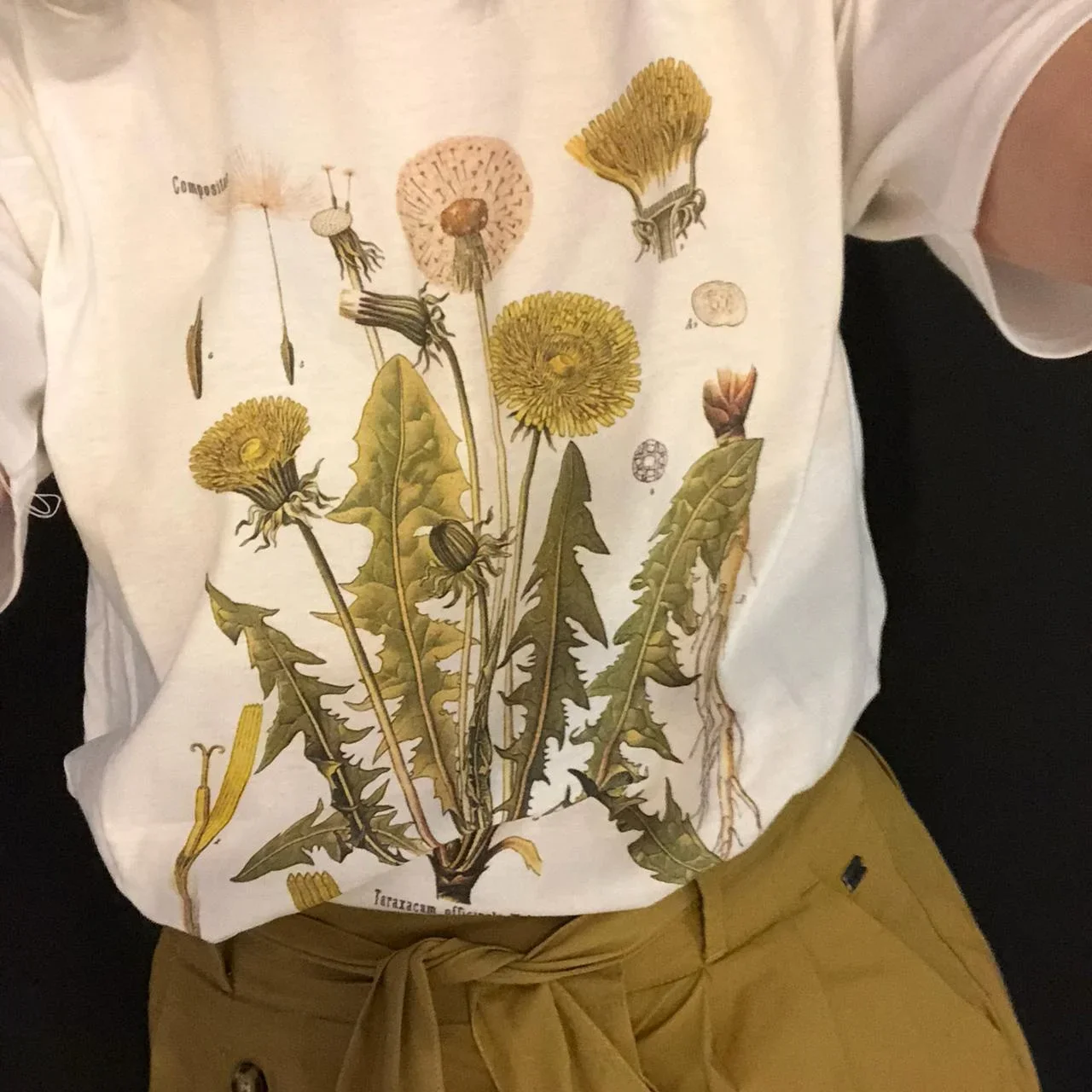 Maskros botanisk grafisk t-shirt vandringströja botaniskt tryck kortärmad bomullsöverdimensionerad t-shirt damkläder harajuku