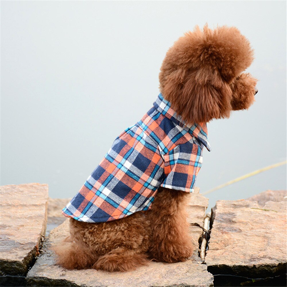 Oimg Samll Honden Kleding Klassieke Hond Blouse Zachte Katoen Huisdier Plaid Shirts Tops Lente Herfst Pug Teddy Teckel Huisdier Kleding: Orange / XL