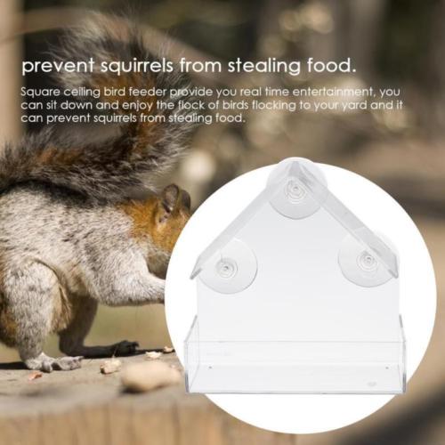 Acrylic Transparent Bird Squirrel Feeder Tray Birdhouse Window Suction Cup Tools