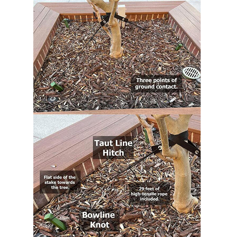 12 Inch Boom Stake Kit, boom Ondersteuning Bandjes Met Touw Plant Ondersteuning Ankers Professionele Voor Jonge Bomen Beschermen Tegen Wind