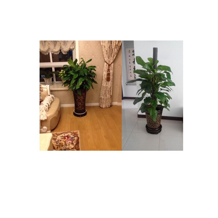 12Cm-18Cm Roterende Dichtheid Board Ronde Houten Voor Ketel/Theepot/Bloempot/Stone Base/jardiniere/Decoratie