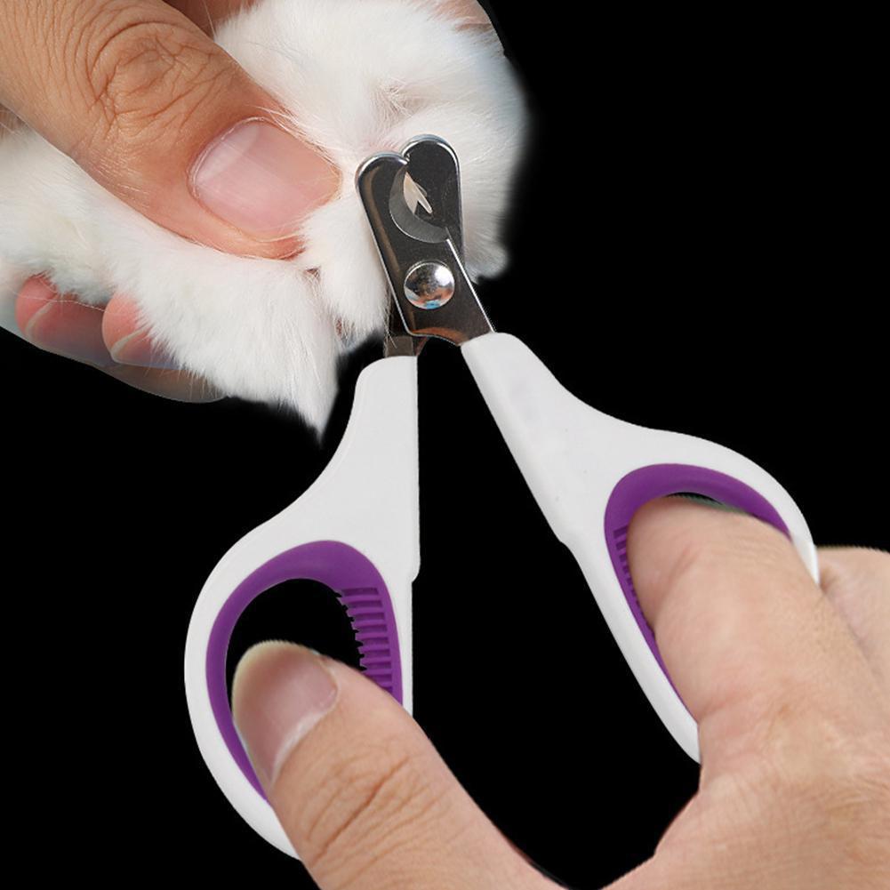 Huisdier Teen Nagelknipper Rvs Nail Schaar Voor Pet Honden Katten Grooming Cleaning Tool