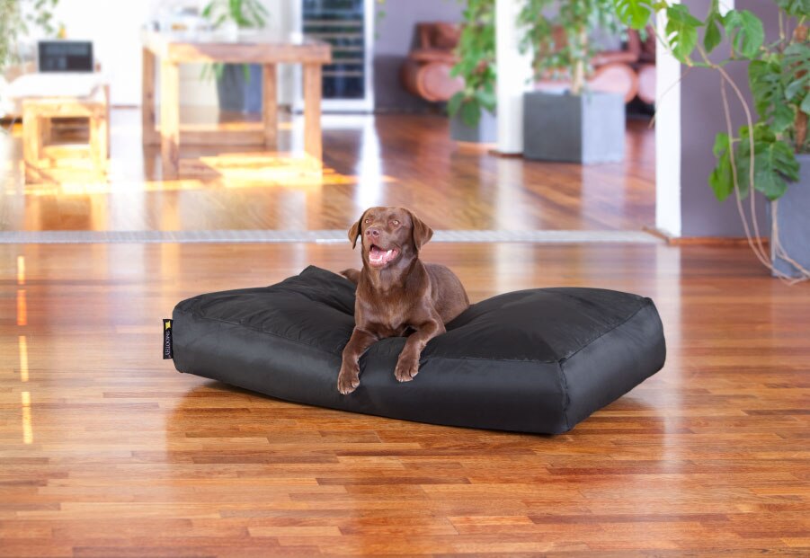 EXTRA large 100cm x 70cm x 20cm size dog bean bag sofa beds, pet beanbag cushion,waterproof and tear repellent beanbag bedding