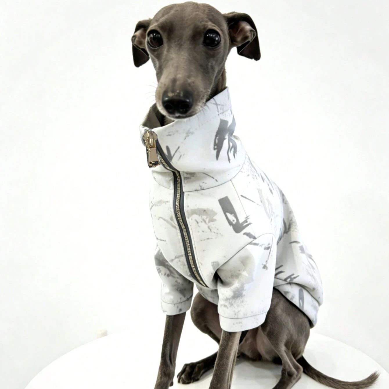 Italian Greyhound and Whippet clothing deep blue print zipper jacket outerwear windproof and warm stylish clothes