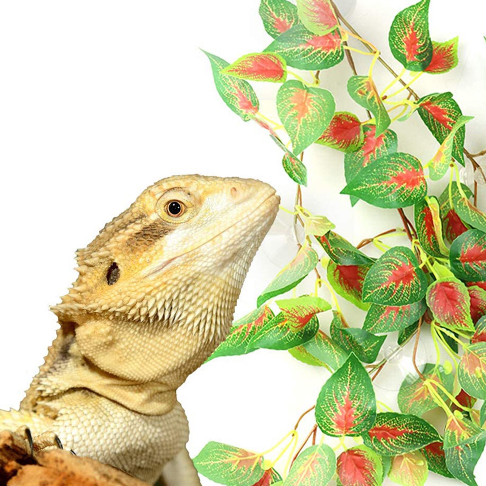 Reptile Plants Terrarium Artificial Silk Reptile Plants With Suction Cups Decoration Of Bearded Dragons Lizards Geckos Ingenious