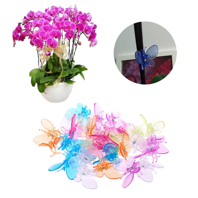 30 stk søde sommerfugle orkidé klip plante klip have blomst vin støtte klips