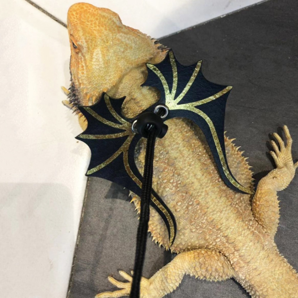 Harness Leash Bearded Dragon Harness Rope S/M/L Lizard Leash Reptile Pet Outdoor Carrying Walking Adjustable Oc14