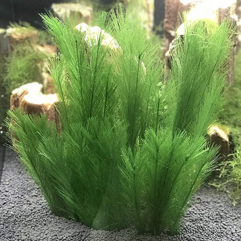 Aquariumdecoraties aquarium kunstmatige groene waterplanten gemaakt van zijden stoffen plastic, niet giftig en veilig voor alle vissen en p