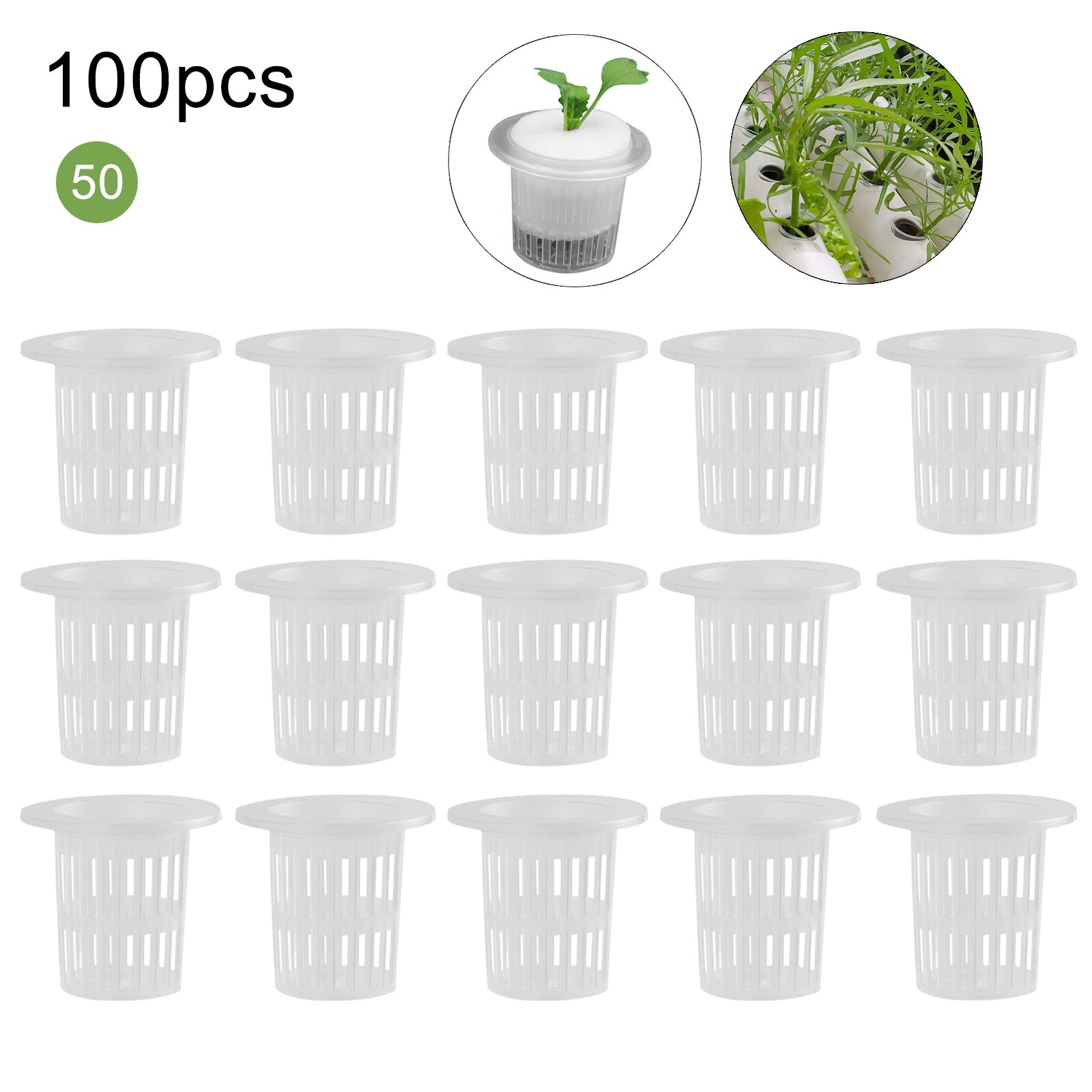 Hydroponic Tools And Equipment - Gardening Know How