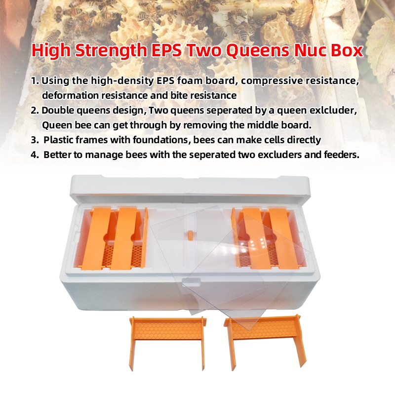 High Strength EPS Multi-Functional Queen Bee Hive Plastic Foam Two Queens Nucs Mini Mating Beehive Queen Rearing Nuc Beehive