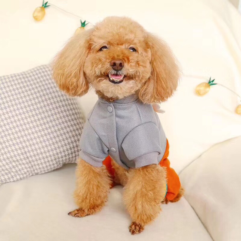 Vinter varm sällskapshund jumpsuit vinkel vingar liten hund overall kläder för yorkies chihuahua husdjur hundar kläder pyjamas husdjursprodukter