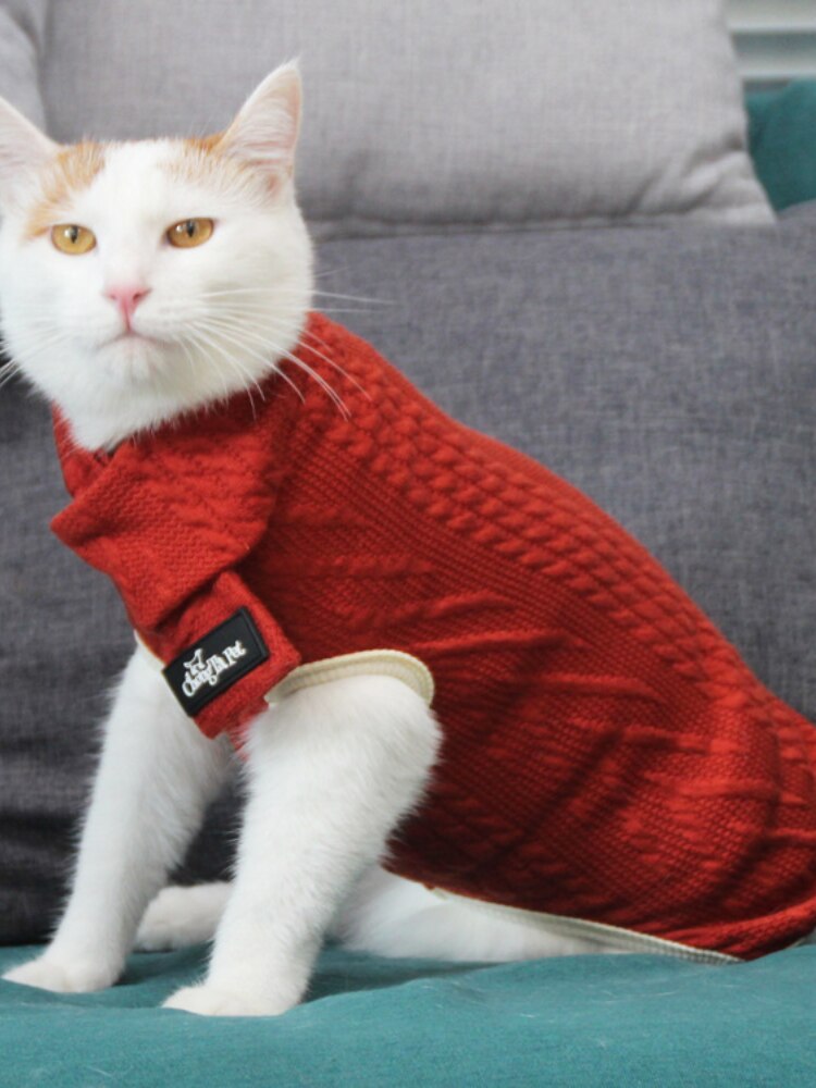 [2021 gorąca sprzedaż] nowy zimowy kot sweter świąteczny i wiosenny festiwal świąteczne ubranka dla kotów ciepłe noworoczne ubrania zimowe