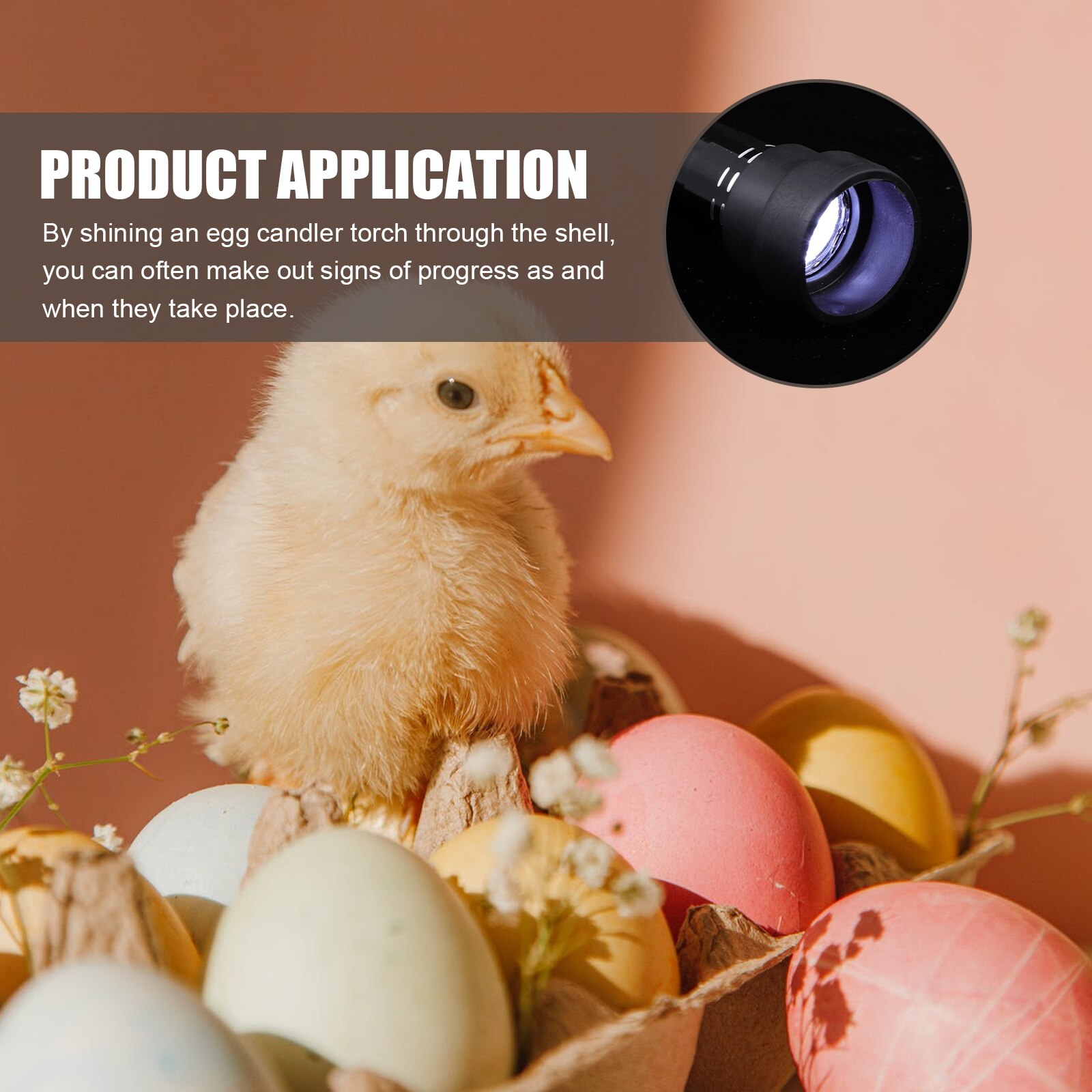 1pc Egg Candler Incubation Egg Candling Lamp Cool Light Egg Tester