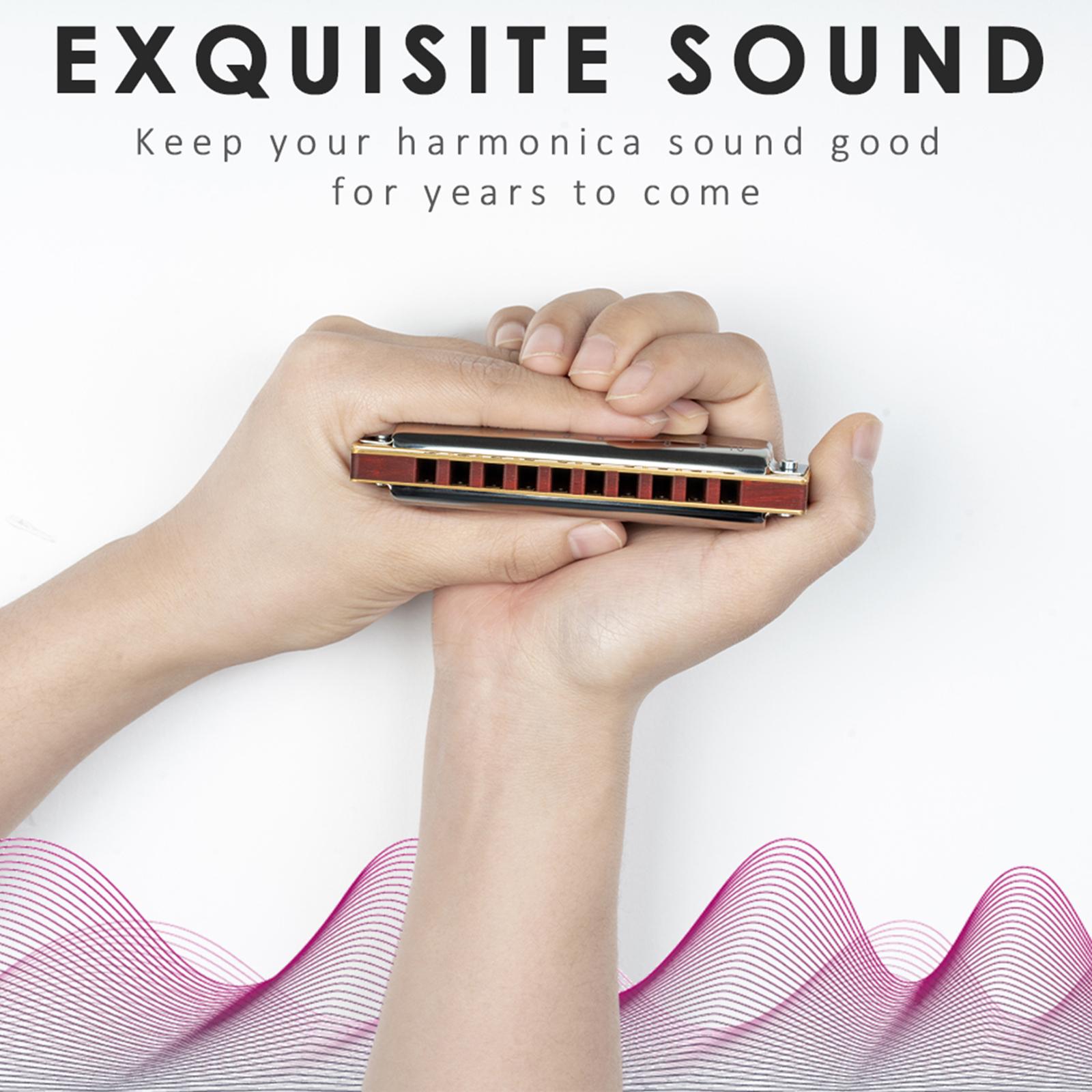 10 Holes Harmonica Mondharmonica Voor Volwassenen Beginners Muzikanten Muziek Liefhebbers Professionals
