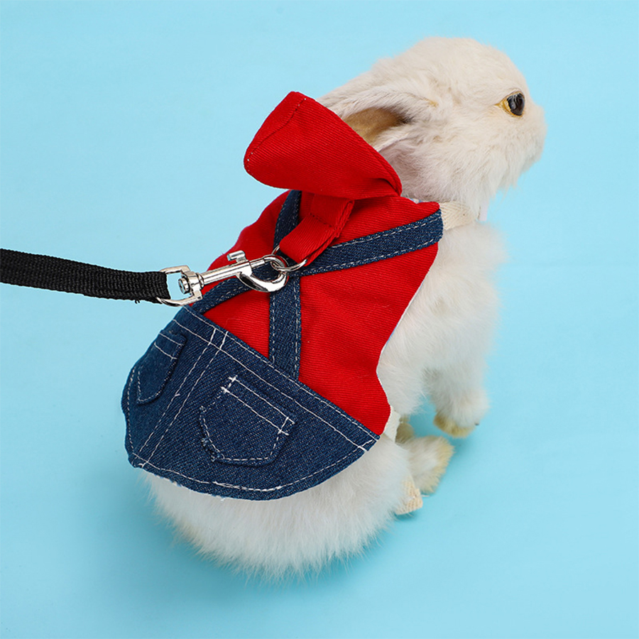 Vêtements de lapin, veste en jean, manteau pour animaux de compagnie, harnais pour petits animaux, gilet, ensemble de chapeaux, furet, lapin, Hamster, fournitures pour petits animaux de compagnie, laisse pour chien