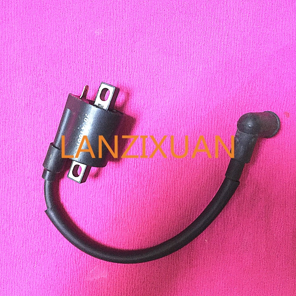 T5-05000400 Boat Motor Ignition Coil Assy for Parsun 2-Stroke T4 T5 T5.8 Outboard Engine High Pressure Coil,