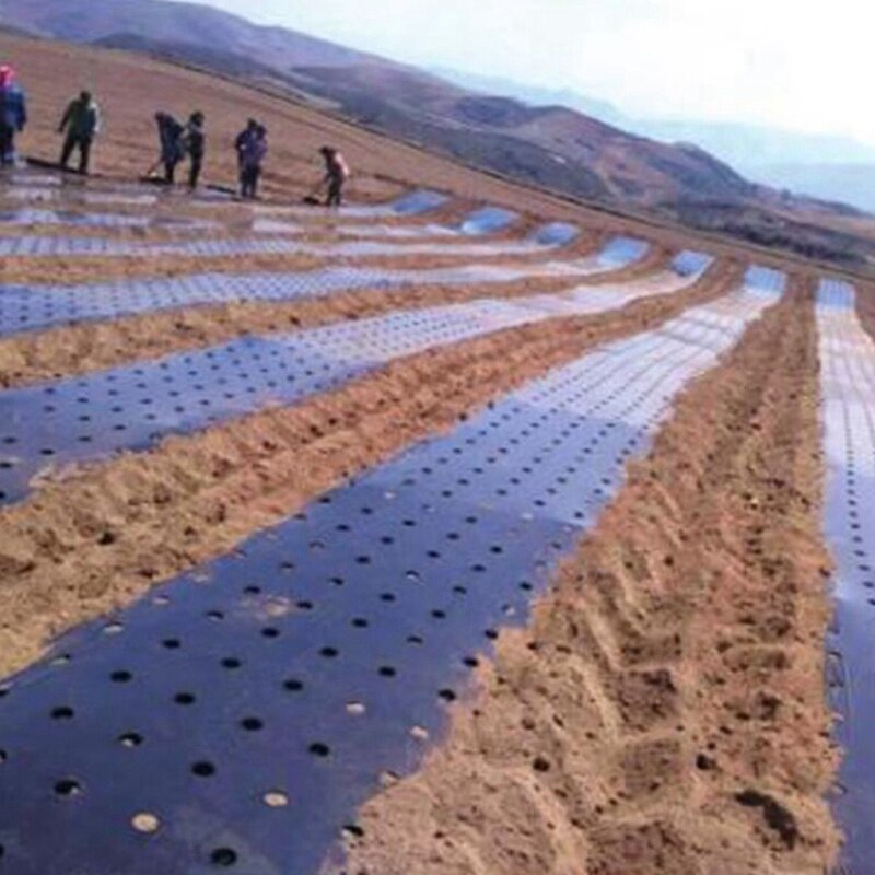Black Plastic Mulch Film Agriculture Vegetable Plants Grow Film Greenhouse Keep Warm Anti Gr Perforated Film